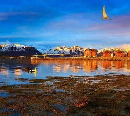 Feriehus Vesterålen Sjøhushotell 3*
